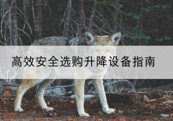 平江升降货梯厂家推荐-*安全选购升降设备指南