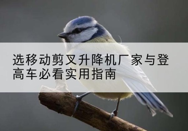 平江电动升降机厂家-选移动剪叉升降机厂家与登高车必看实用指南