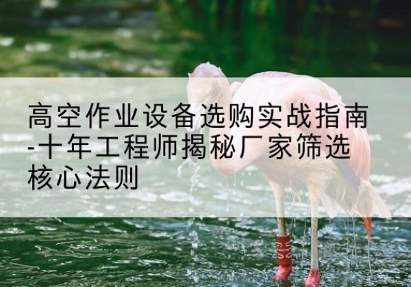 平江剪叉式升降机厂家-高空作业设备选购实战指南-十年工程师揭秘厂家筛选核心法则